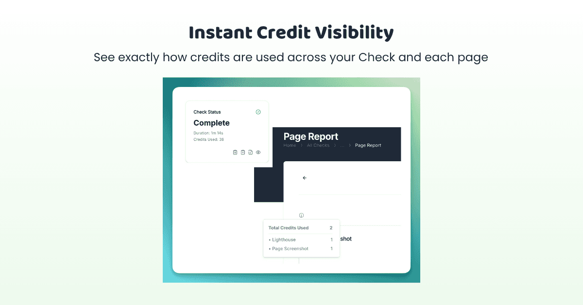 Check status showing page-level credit usage with Lighthouse and screenshot breakdown